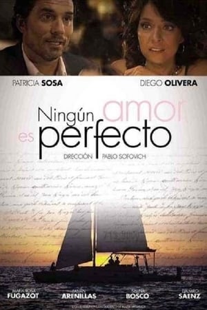 Poster Ningún amor es perfecto 2012