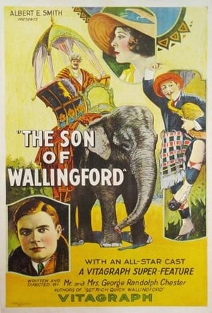 Poster The Son of Wallingford 1921