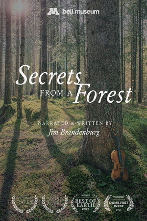 Secrets From a Forest