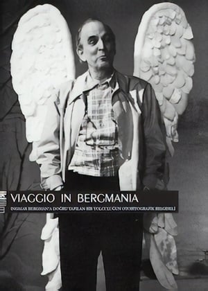 Viaggio in Bergmania poster