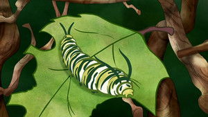 Weißt du eigentlich, wie lieb ich dich hab?: 2×1