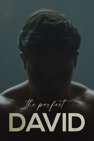 Poster The Perfect David 2021