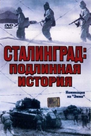 Image Stalingrado: el ataque, el cerco y la caída