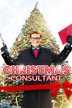 Poster The Christmas Consultant (2013)