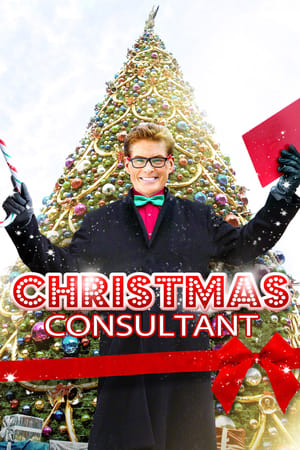 Poster The Christmas Consultant 2013