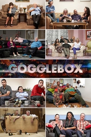 Poster Gogglebox 2013