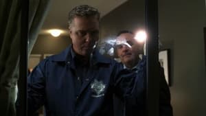 CSI: Investigação Criminal: 3×14