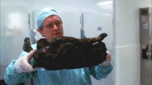 NCIS: 2×7