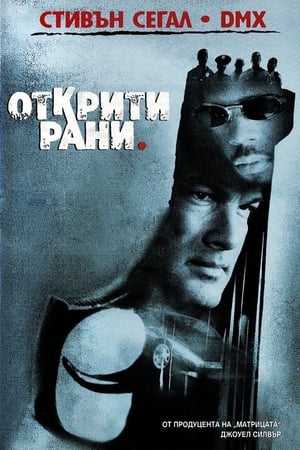 Poster Открити рани 2001