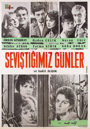 Seviştiğimiz Günler poster