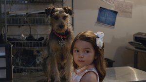 Robo-Dog se déchaîne film complet