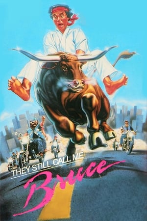 Poster They Still Call Me Bruce 1987