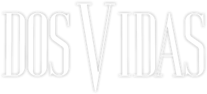 Duas Mulheres Duas Vidas — Logos 2