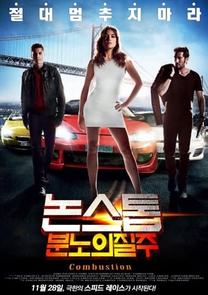 Poster 논스톱: 분노의 질주 2013