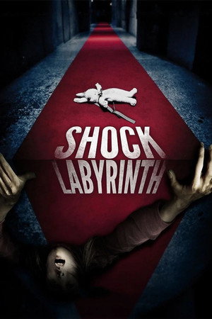 The Shock Labyrinth 13