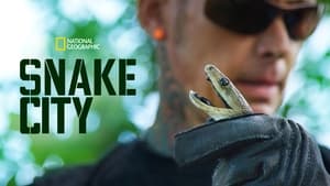 poster Snake City