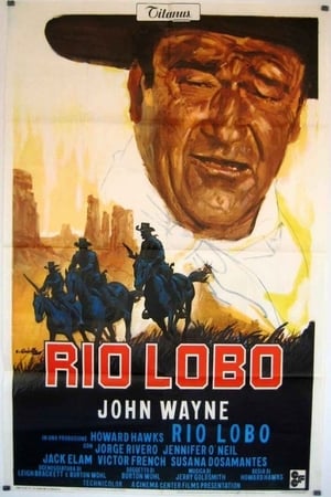 Poster di Rio Lobo
