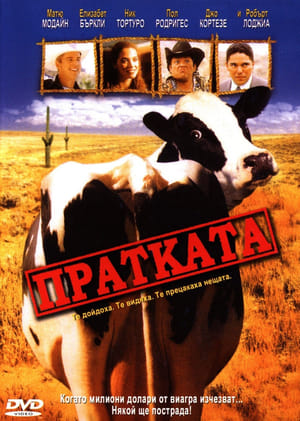 Poster Пратката 2001