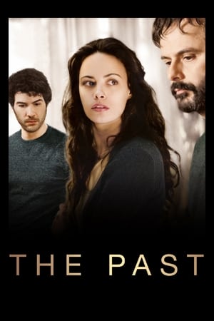 Click for trailer, plot details and rating of The Past (2013)