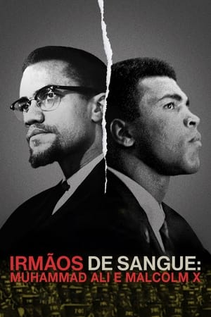 Image Blood Brothers: Malcolm X & Muhammad Ali