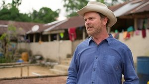 Rainn Wilson and the Geography of Bliss Happiness Is a Condom Box Burial