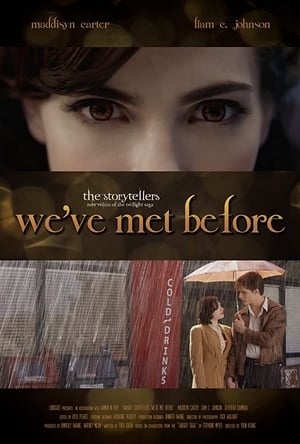 Twilight Storytellers: We've Met Before poster