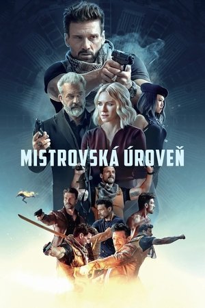 Image Mistrovská úroveň