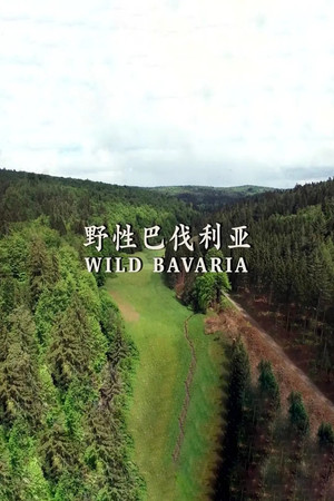 野性巴伐利亚