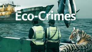 Eco-Crimes