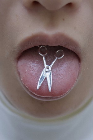 Memory of a Mycelium (2026)