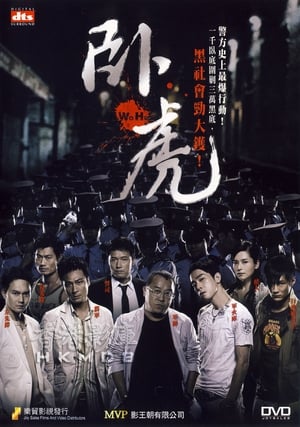 Wo Hu poster