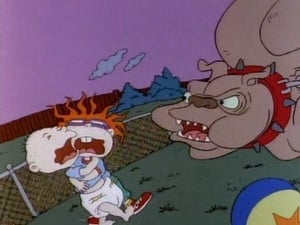 Rugrats Barbeque Story