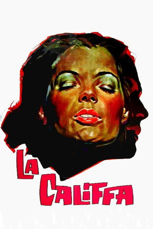 Lady Caliph 16