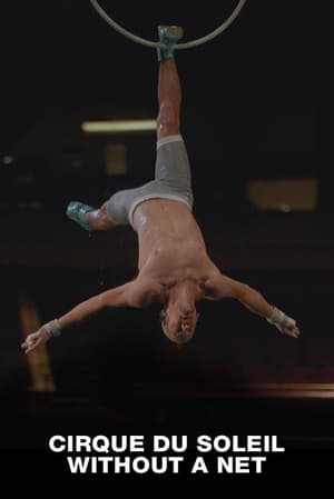 Poster Cirque Du Soleil: Without a Net 2022