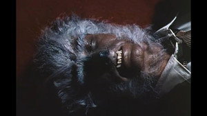 The Werewolf of Washington