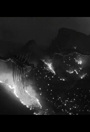 Quiet Apocalyspe Vol. I