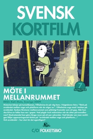 Poster Möte i mellanrummet (2009)