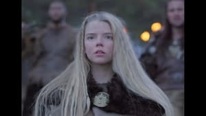 Le Clan des Vikings