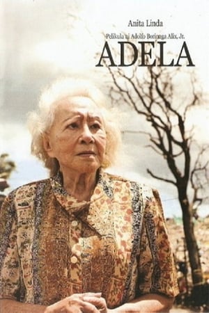 Poster Adela 2008