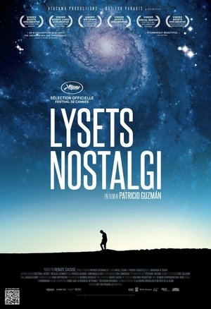 Poster Lysets Nostalgi 2010