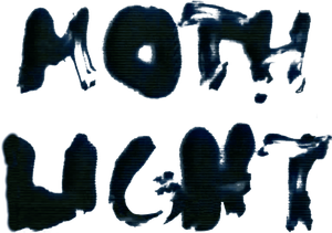 Mothlight