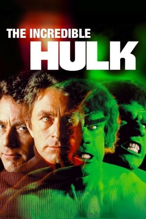 The Incredible Hulk - 1977 soap2day