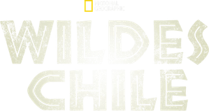 Chile Selvagem — Logos 3