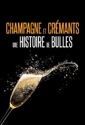 Champagnes et crémants, une histoire de bulles film complet