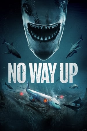 Poster No Way Up 2024