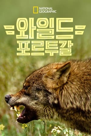 Poster 와일드 포르투갈 2020