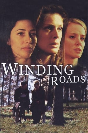 Poster Winding Roads 1999