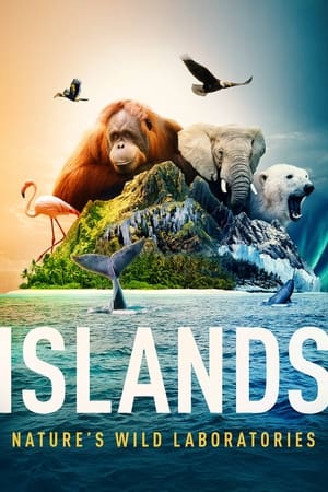 Poster Islands 2023