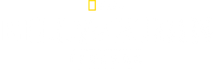 Billy The Kid: Nova Evidência — Logos 5
