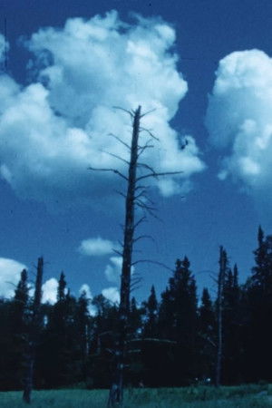 Outward Bound: Oriana